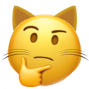 :thinking_cat_face: