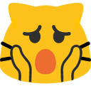 :blobcat_shock: